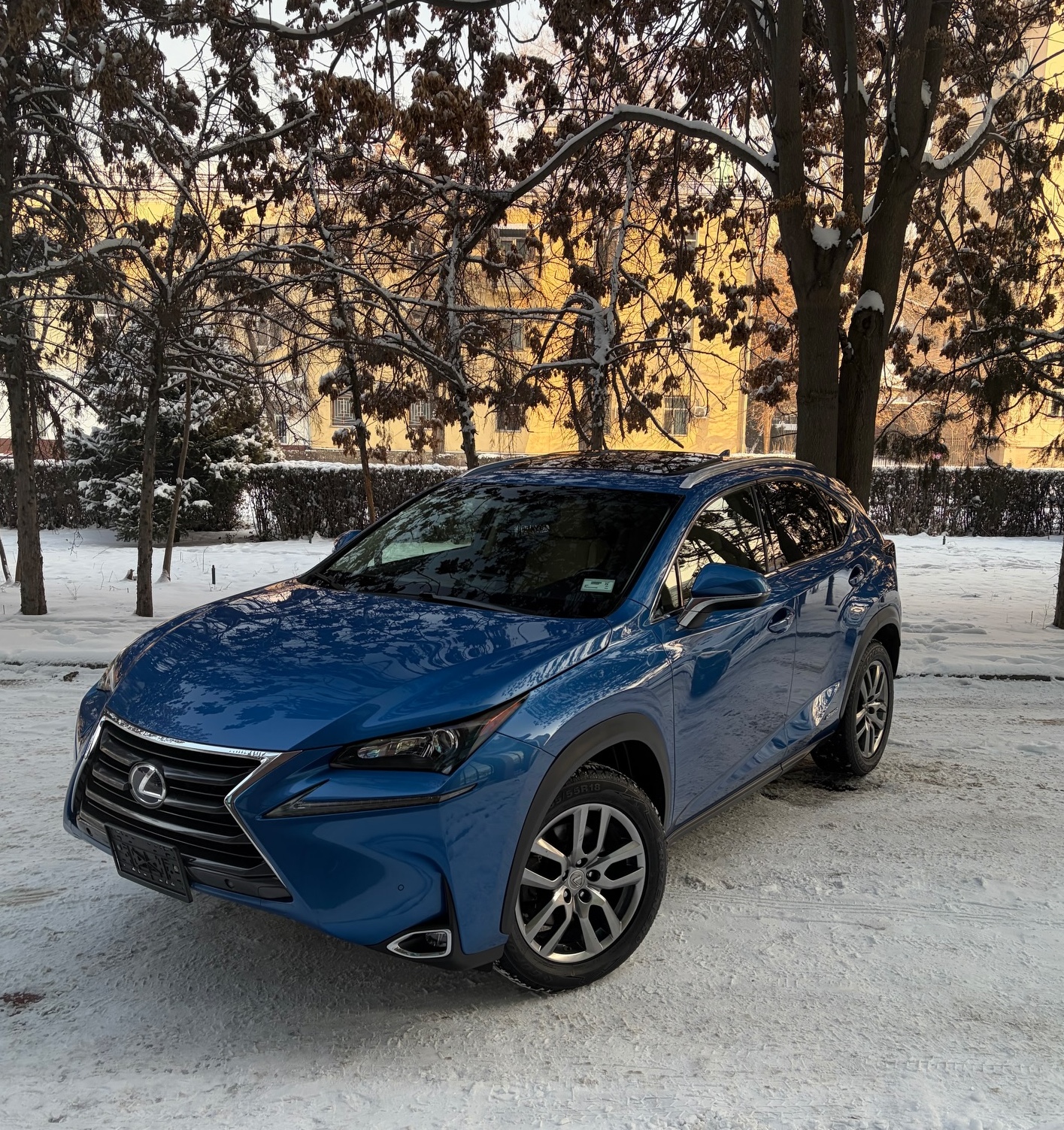 Lexus NX300h 2016